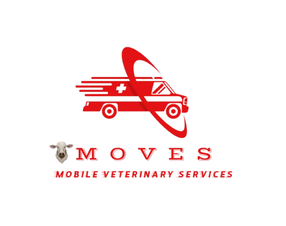 MOVES Logo